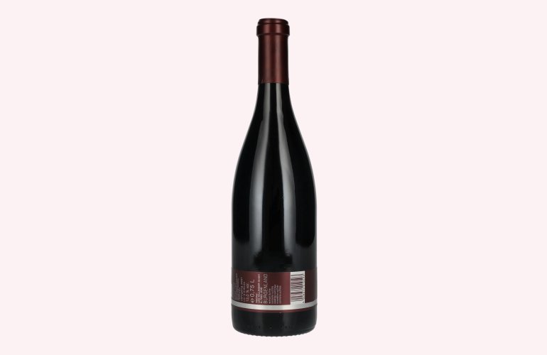 Hillinger Pinot Noir Terrior 2021 13% Vol. 0,75l